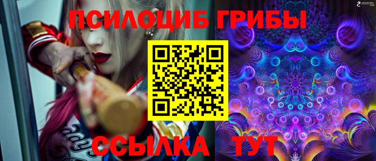 Горячий Ключ  цены   Вход с VPN  Псилоцибиновые грибы Psilocybine cubensis 