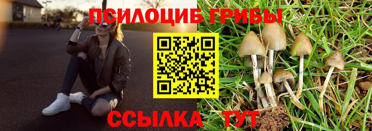 Псилоцибиновые грибы прущие грибы Горячий Ключ